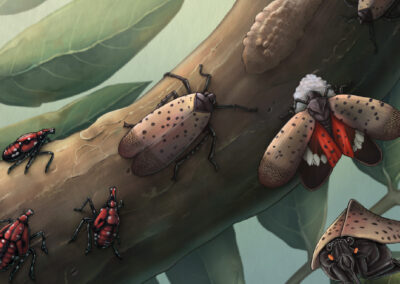Spot the Invader!